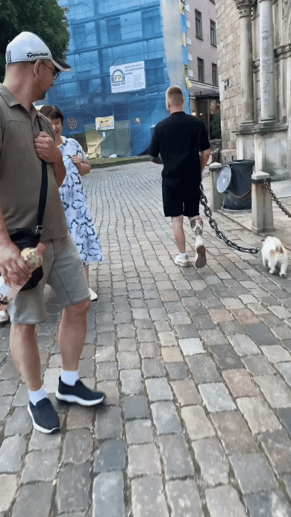 Dog Chain